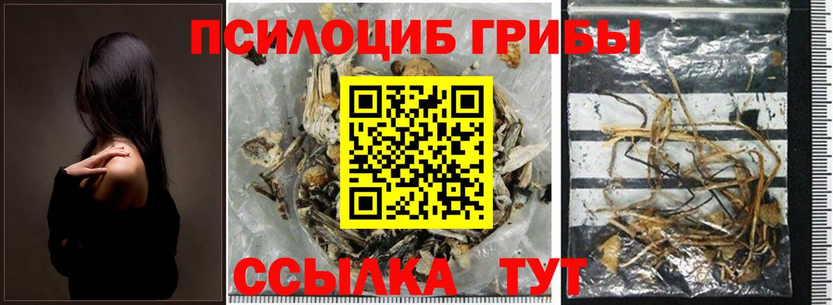 Псилоцибиновые грибы прущие грибы  Вход с VPN  Ивантеевка 